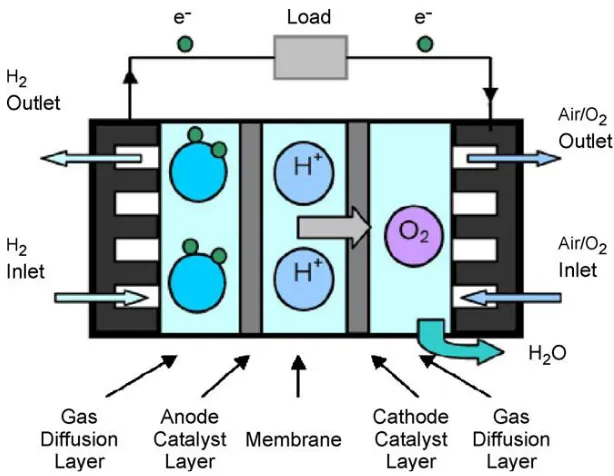 Figure 1. Schematic representation of fuel cell electrochemistry 