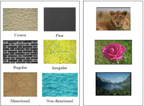 Figure 1.5: a) Sample Image. b) Corresponding Color Histogram. Sample Image and Its Corresponding Color Histogram