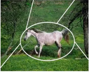Figure 1.7: Image with Static Regions. 