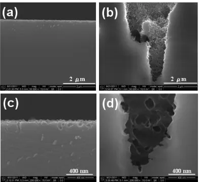 Figure 2. Cross-sectional SE morphologies for n-Si (100) coated with sparse Ag nanoparticles post dark etching in 1.0 M NH4F + 5.0 M H2O2 solution for (a) 1 h and (b) 5 h at lower magnifications (X50 k); also for (c) 1 h and (d) 5 h in higher magnification