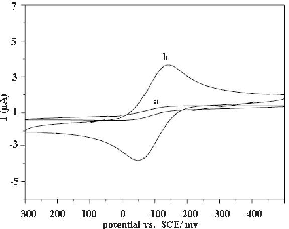 Figure 4. Cyclic voltammograms of (a) bare GCE and (b) Cyt c / ZrO2Nps /GCE in 0.1 M phosphate buffer (in 0.1 M PBS and scan rate