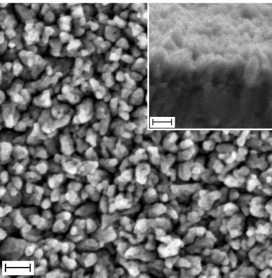 Figure 3.  Room temperature PL spectrum of ZnO nanorods produced via ammonia assisted hydrolysis process 