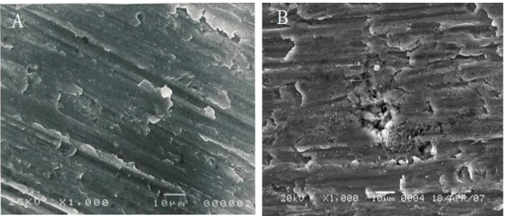Figure 4.   SEM of Al alloy S in 30% tomato extract (A) and 30% tomato extract plus table salt (B) both after 3 hours of immersion at 90  C