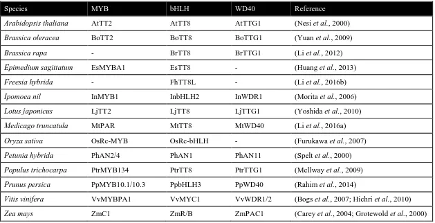 Table 1.1 PA biosynthesis regulated by MBW complex in plants 