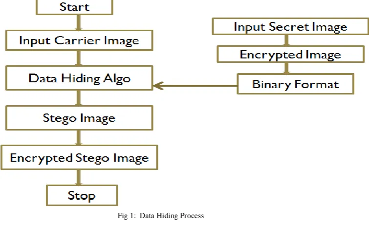 Fig 1:  Data Hiding Process 