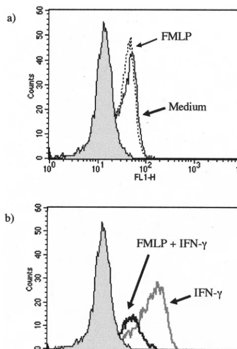 FIG. 2. Effect of FMLP on IL-10-induced Fc�sents ﬂuorescence intensity (arbitrary units); theThen, the cells were washed and incubated with IL-10 (100 U/ml) for24 h
