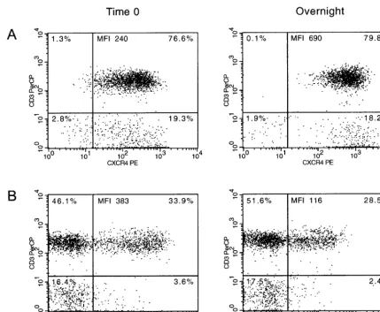 FIG. 2. Representative dot plots of normal donor CD3�samples (right). The percentage of cells in each quadrant, as well as the MFI, of the CD3 lymphocytes expressing CXCR4 (A) and CCR5 (B) from time zero (left) and ON�CXCR4� and CD3�CCR5� are indicated.