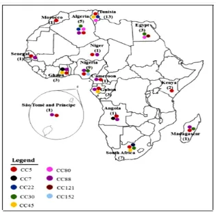 Figure 1.1: A summary of the various MRSA clones that have been reported in 