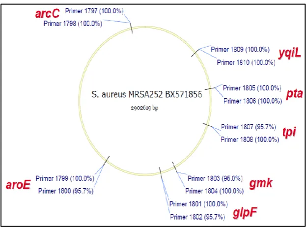 Figure 2.1.  