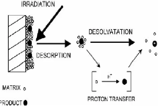 Figure 2.4: A Schematic showing the principle of Matrix Assisted Laser 