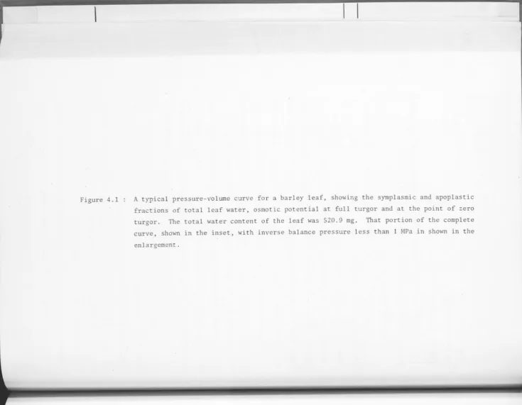 Figure 4.1 A typical pressure-volume curve for a barley leaf, showing the syrnplasmic and apoplastic fractions of total leaf water, osmotic potential at full turgor and at the point of zero 