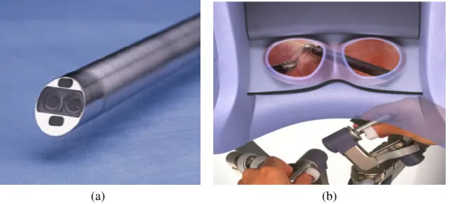 Figure 1.4: (a) stereoscopic laparoscopic camera used in the daVinci surgical system. It has a baseline of 5-6mm