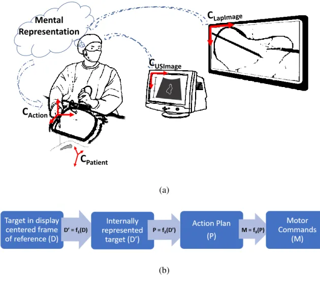 Figure 1.7: (a) Schematic of laparoscopic surgery where laparoscopic ultrasound is used to visualize subcutaneous structures: An internal representation is constructed from the image  in-formation read from the two images, based on which surgical actions a