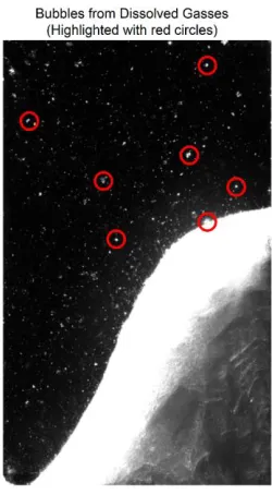 Figure 8: Highlighted bubbles from dissolved gasses during lauric acid melting 