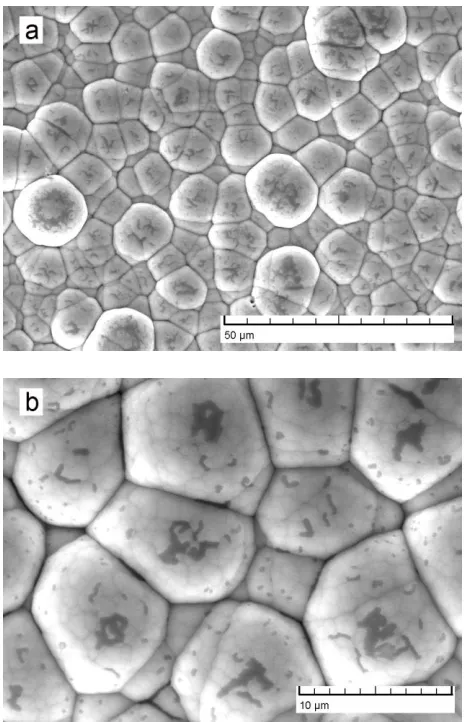 Figure 9. SEM micrographs, (a) electroless Ni-P coating on magnesium alloy deposited for 60 min; (b) a higher magnification of Figure 9(a)