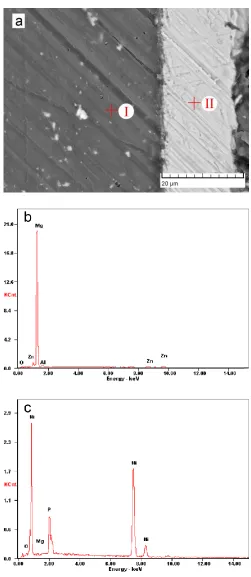 Figure 10. Cross-section microstructure and EDS spectra of Ni-P coating on magnesium alloy deposited for 60 min: (a) cross-section image; (b) EDS spectrum of area I; (c) EDS spectrum of area II