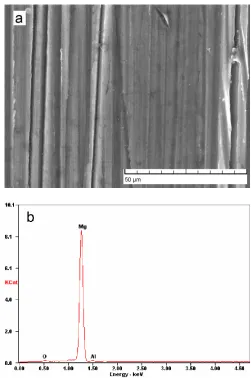 Figure 1.  SEM micrograph (a) and the corresponding EDS spectrum (b) of AZ31 magnesium alloy after sanding  