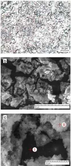 Figure 3 and Table 1, the element composition in area I (the dark region) is similar to that of magnesium alloy substrate for they mainly contain Mg, O, and Al elements