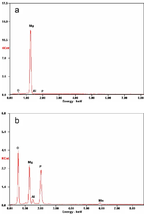 Table 1. Chemical compositions of magnesium alloy before and after phosphate pickling pretreatment (in wt%) obtained by EDS analyses  