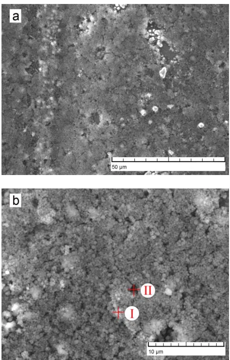 Figure 5. SEM micrographs, (a) electroless Ni-P coating on magnesium alloy deposited for 1 min; (b) a higher magnification of Figure 5(a)  