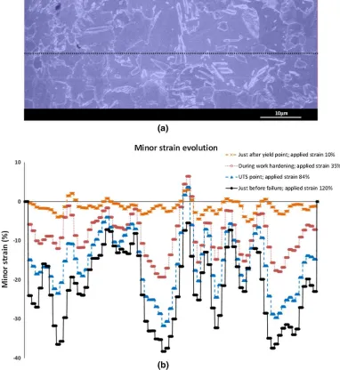 Fig. 9—The evolution of the minor strain during the tensile test taken along the dotted line shown in micrograph (a), and (b) the minor strainsat (i) just after yielding, (ii) during work hardening, (iii) at UTS point and (iv) just before failure.