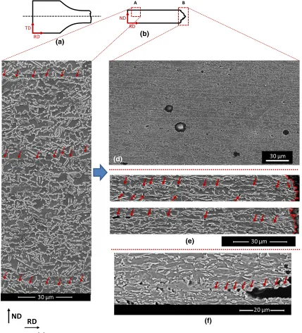 Fig. 6—(a(black-dashed line) forundeformed and deformed regions for SEM analysis, () Schematic of the fractured tensile sample (looking in the ND direction) showing the mid-width ND-RD plane sectioning post-mortem analyses, (b) schematic looking in the TD 