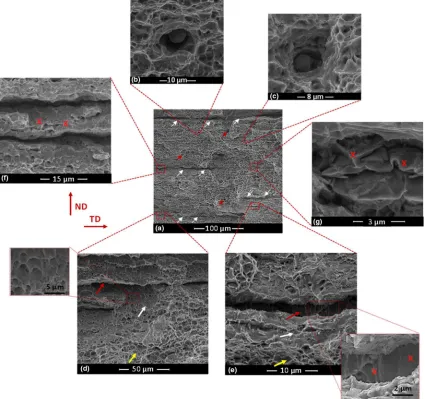 Fig. 7—SEM micrographs of the fracture surface: (athrough () low-magniﬁcation image showing an overview and high-magniﬁcation images showing (b)c) voids at inclusion sites, (d) through (g) dimpled and shear surface topography near and within ﬁssures.