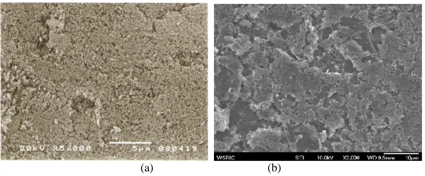 Figure 1.  SEM images of carbon composite GDL. (a) CB 100% (G 0%), (b) CB 30% + G 70%