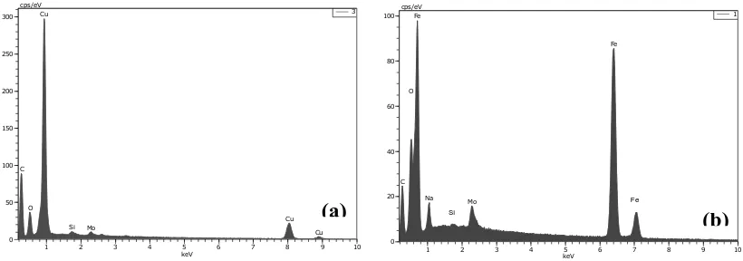 Figure 14. EDS spectrum after exposure a) Cu coupled with CS in 180:120 ppm of the Na2MoO4 : Na2SiO3 solution at 77°C under flow conditions and b) CS coupled with Cu in 180:120 ppm of the NaMoO + NaSiO solution at 77 °C under flow conditions