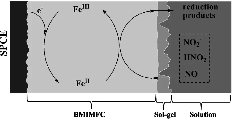 Figure 5. Cyclic voltammorams of (a) bare SPCE, (b) SPCE/BMIMPF6/SG and (c) SPCE/BMIMFC/SG in 0.1 M HCl containing 1.0 mM NaNO2