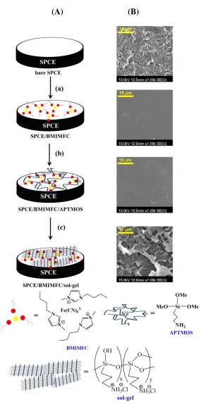 Figure 2.  (A) The three-step procedures of the modified electrode: (a) deposition of BMIMFC by spin coating, (b) deposition of APTMOS sol, (c) immersion into a 0.1 M HCl solution