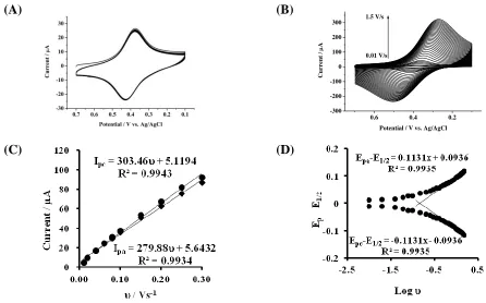 Figure 4. Cyclic voltammpgrams of SPCE/BMIMFC/SG in 0.1 M HCl (A) for continuous 50 cycles at a scan rate of 0.1 V/s