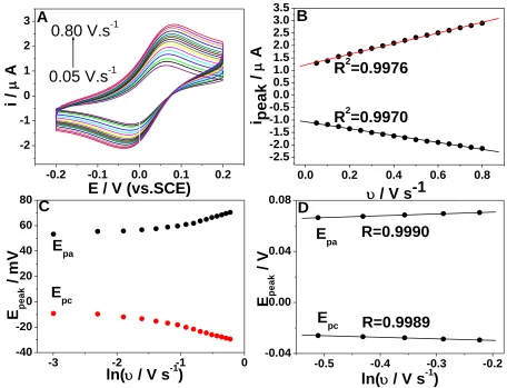 Figure 6.  (A) CVs of the (HRP-Cyt c/DNA)4/Cyt c/MUA-MCH/Au (nCyt c/nHRP=7:1; nCyt c+nHRP=1.6 nmol) at different scan rates varied from 0.1 to 0.8 V s−1 with a step of 0.05 V s−1 in 0.2 M N2-saturated PBS (pH 7.0)