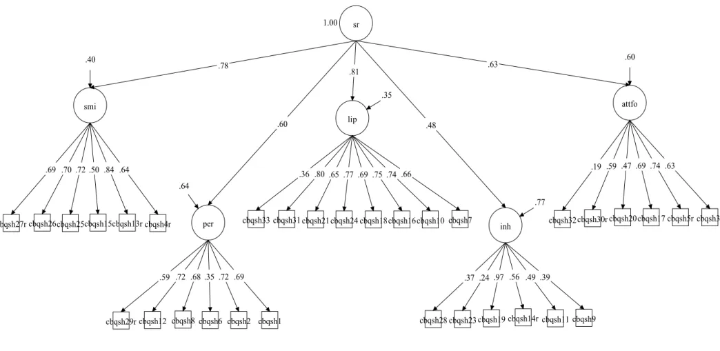 Figure 4. Self-Regulation CFA – all scales 