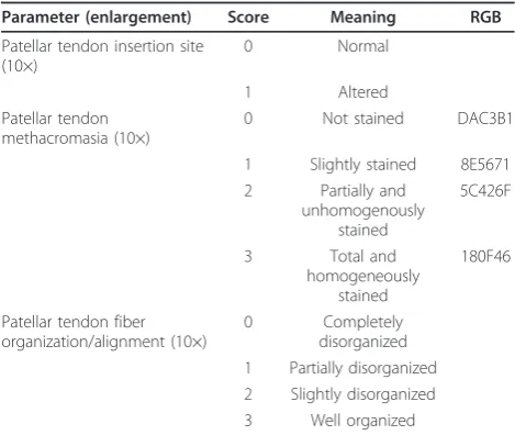 Table 1 Semi-quantitative score for the evaluation ofpatellar tendon