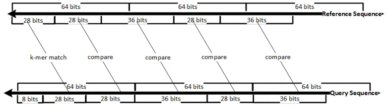 Figure 2.4: Eﬃcient k-mer matching