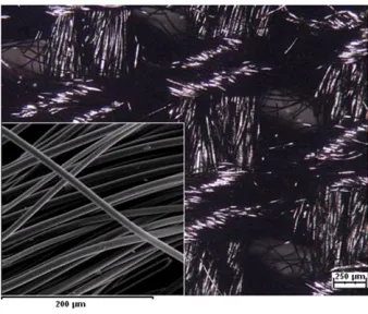 Table 1. Parameters of the activated carbon fabric used in the present investigation. 