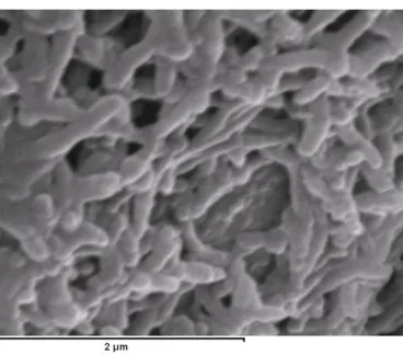 Figure 4. (a) Cyclic voltammograms obtained during electrodeposition of platinum (1st, 10th, 20th, 30th, 40th cycles) on bare carbon electrode