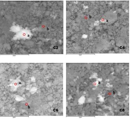 Figure 3. SEM images of Li1+xCrxSn2-xP3O12 samples 