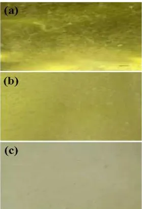 Figure 4.  SEM micrographs for the coated PVC on the brass surface; (a) a large area of the surface and (b) a high magnification image shows a small area of the surface