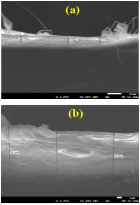 Figure 5.  SEM micrographs for the polystyrene coating deposited on the brass surface; (a) a large area of the surface and (b) a high magnification image shows a small area of the surface