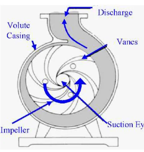 Fig 1: Centrifugal Pump 