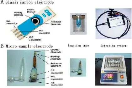 Figure 2.  The electrodes and apparatus of cyclic voltammetry method for DNA detection