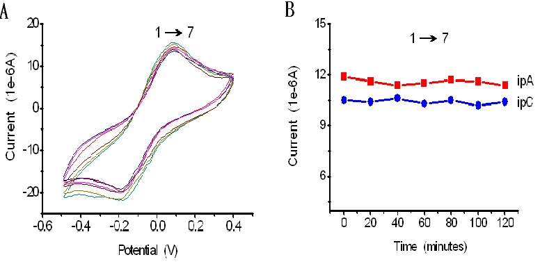 Table 1. The primers of cyclic voltammetry and PCR. (F3: forward primer; B3: backward primer; FIP: forward inner primer; BIP: backward inner primer; F: forward primer; B: backward primer)  