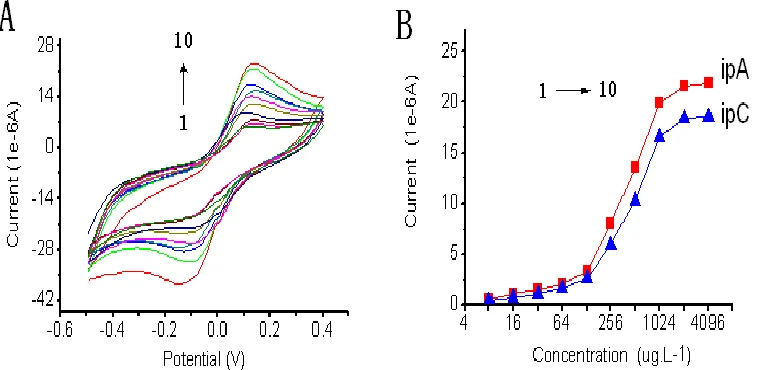 Figure 3.   Characterization of the five dyes in the cyclic voltammetry. (1:Methylene blue; 2:Malachite green; 3:Crystal violet; 4:SYBR green I; 5:Hydroxy naphthol blue; all in 1.0 mg.L-1) 