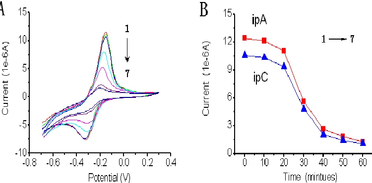 Figure 5.  The DNA cyclic voltammetry measurement of E. coli O157:H7. (1→7: Cyclic voltammetry measurement every 10 minutes; E