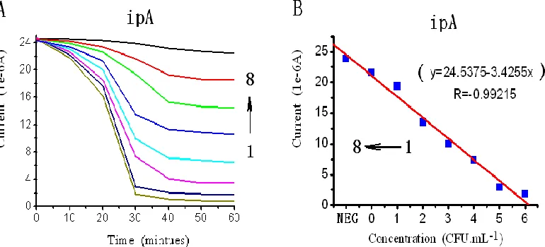 Figure 6.  The sensitivity of the cyclic voltammetry measurement. (1:106 CFU.mL-1; 2:105 CFU.mL-1;3: 104 CFU.mL-1; 4: 103 CFU.mL-1; 5: 102 CFU.mL-1; 6:101 CFU.mL-1; 7: 100CFU.mL-1of E coli; 8:blank) 
