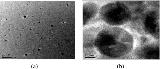 Figure 1. Transmission electron microscope image of NiFe2O4 nanoparticles with scale factor of (a)100 nm, (b) 10 nm.