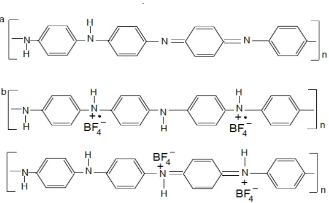 Figure 1.   (a) Polypyrrole structure   (b) with polarons state (c) with bipolaron state Chemical structures of polypyrrole In neutral (a) aromatic and (b) quinoid forms and in oxidized form with (c) polarons states (d) Bipolarons states  