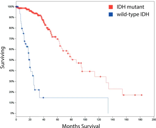 Figure 1. Diffuse glioma patients with mutations in IDH have a better prognosis than the ones with wild- wild-type IDH (TCGA database_283 LGG samples).